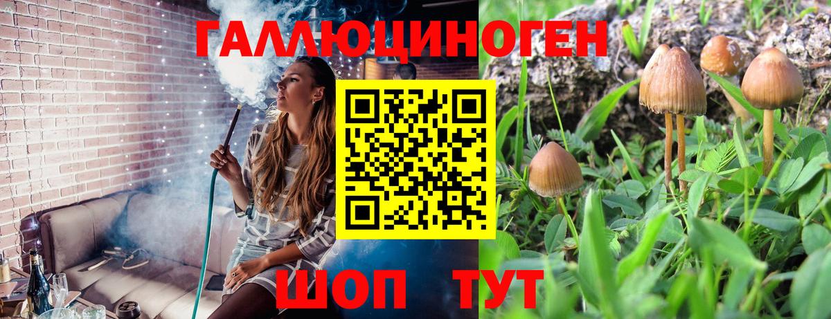 Галлюциногенные грибы GOLDEN TEACHER Рыбинск