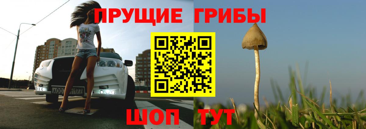 Рыбинск  Псилоцибиновые грибы GOLDEN TEACHER  Вход с VPN 